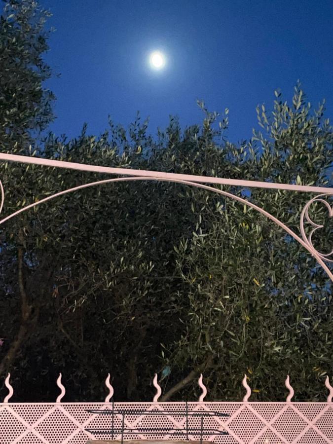 Villa Fieschi Cogorno ภายนอก รูปภาพ