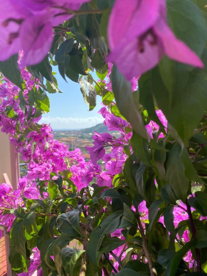 Villa Fieschi Cogorno ภายนอก รูปภาพ