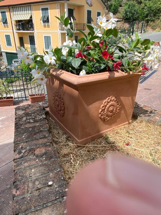 Villa Fieschi Cogorno ภายนอก รูปภาพ
